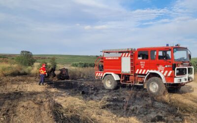 Federação de Bombeiros do Baixo Alentejo prevê “um Verão escaldante para os bombeiros”